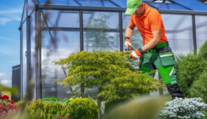 Wie eine Gartenpflege Firma Ihnen hilft, Ihren Garten dauerhaft schön zu halten
